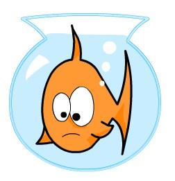 Fanazo et books tag Afficher l'image d'origine