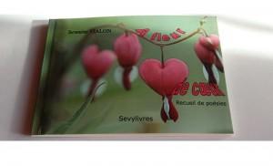 Mes ventes du mois de mai 2016