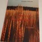 Mes ventes du mois de mai 2016