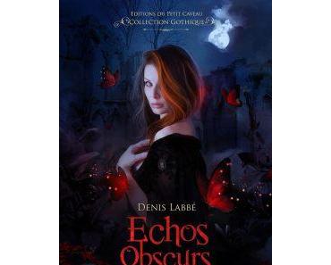 « Echos obscurs » de Denis Labbé