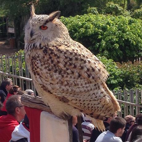 Le Puy du Fou