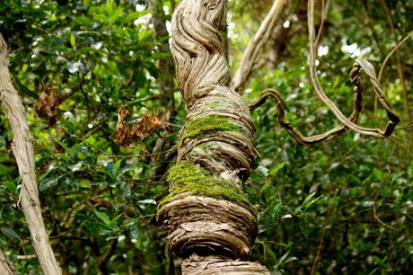 A vous de continuer juin 2016