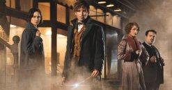 fantastic-beasts-mtv