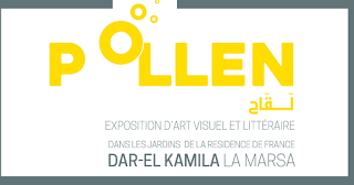 Performance ce dimanche 12 juin en clôture de la très belle exposition POLLEN à La Marsa
