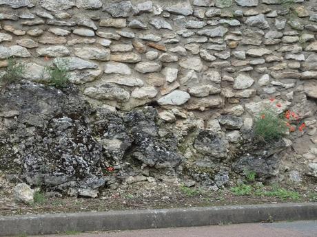 Coquelicot dans le village