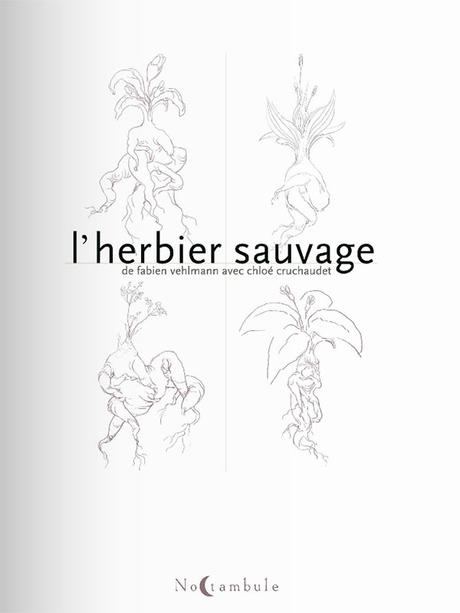 herbier_sauvage_p00