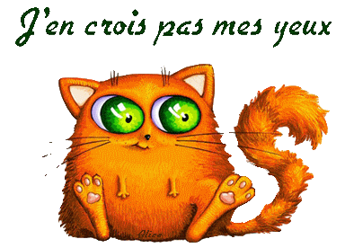 Afficher l'image d'origine