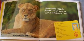 La girafe Adeline  / La lionne Aswad