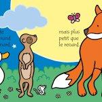 Fiona Watt / Coffret Petit et grand – Livre et toise