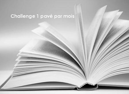 challenge-un-pave-par-mois