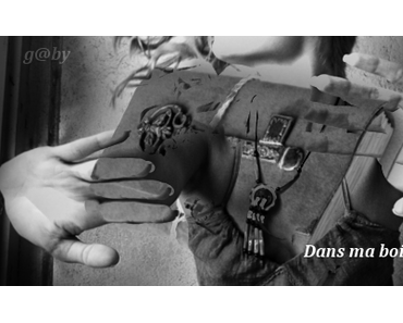 Dans ma boite il y a... # 46