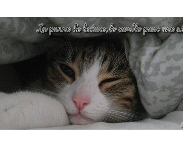 La panne de lecture,le comble pour  une sérial liseuse !