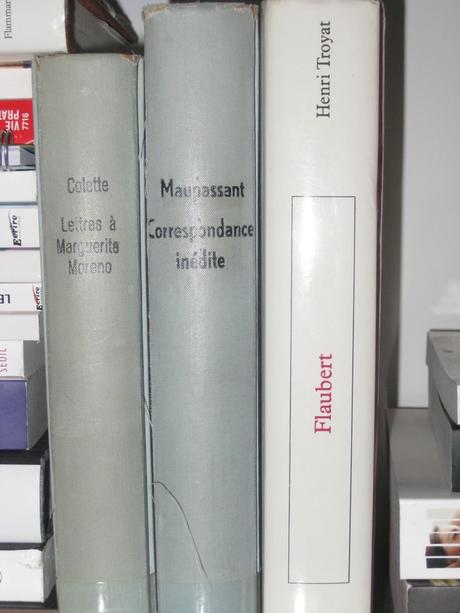 Correspondances et biographie Flaubert