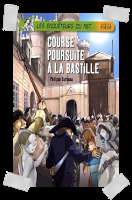 Affaire n°200: "Les enquêteurs du net - Tome 4, Course poursuite à la Bastille" de Philippe Barbeau et Jérôme Brasseur.