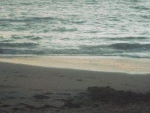 Pantaléon dernier jour dans la cour