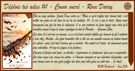 Déploie tes ailes #1 – Cœur sucré – Rose Darcy ♥♥♥♥♥