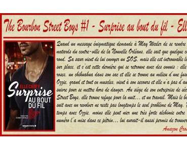 The Bourbon Street Boys #1 – Surprise au bout du fil – Elle Casey
