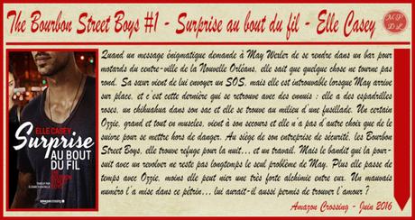 The Bourbon Street Boys #1 – Surprise au bout du fil – Elle Casey