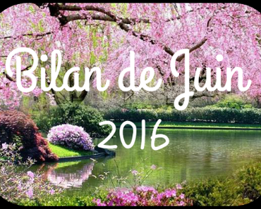 Bilan de Juin 2016