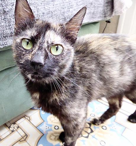 C'est Lundi, Que Lisez-Vous ? #13