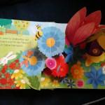 Fiona watt / Le jardin