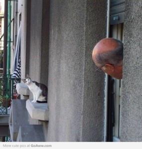 Haïkus 2, thème : la fenêtre