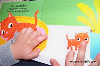 Bonjour bébé chat ! Bonjour petit oiseau !