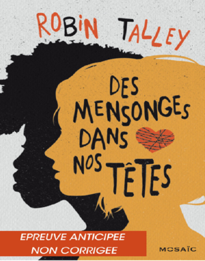 Des mensonges dans nos têtes (Robin Talley)