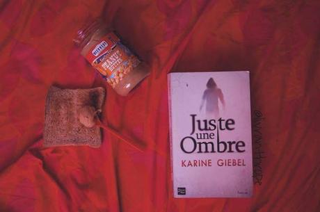 Juste une ombre de Karine Giebel – « Je t’arracherai les ailes, mon ange. Alors, tu ramperas devant moi. »