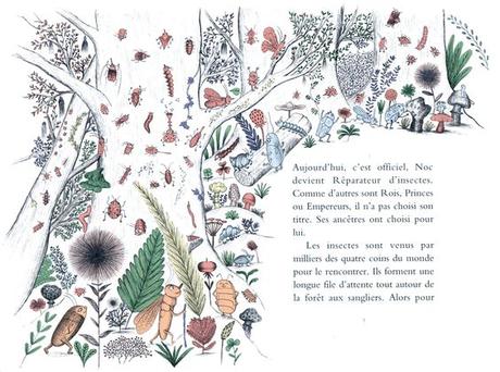 Le petit réparateur d'insectes - Nastasia Rugani et Charline Collette