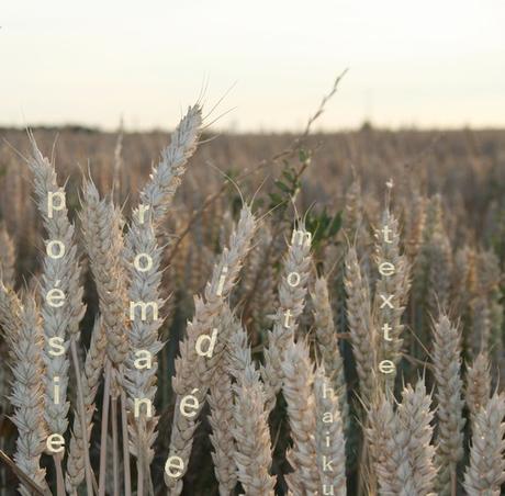 Défi 68 : sur la route des blés