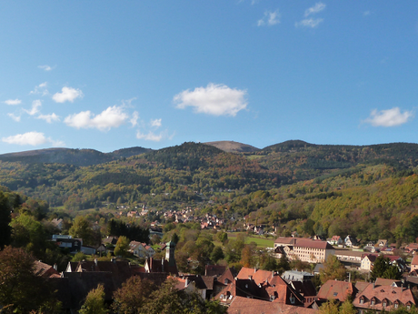 Le cri du colibri - Michel Hutt Le cri du colibri - Michel Hutt