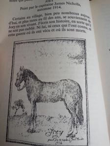 Cheval de guerre. Michael MORPURGO (Dès 12 ans)