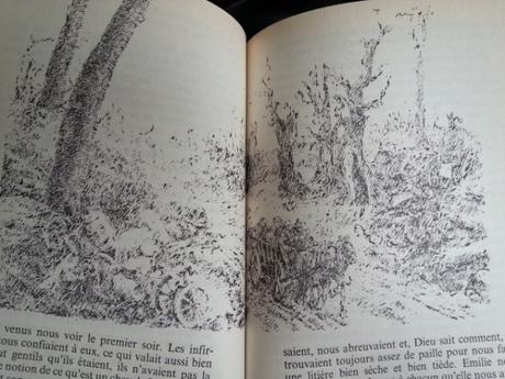 Cheval de guerre. Michael MORPURGO (Dès 12 ans)