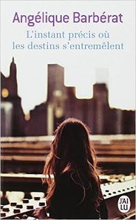 L'instant précis où les destins s'entremêlent - Angelique Barbérat