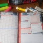 Collectif / L’année Scolaire 2016/2017 Avec Harry Styles : Agenda 100 % Non Officiel