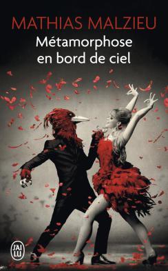 Métamorphose en bord de ciel Poche