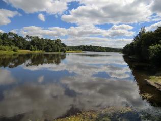 lac de viviane