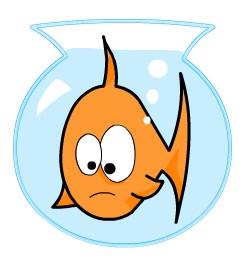 Afficher l'image d'origine