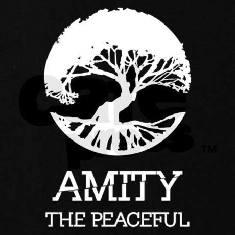 amity logo