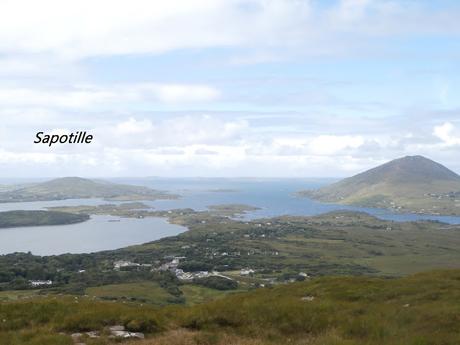 Destination Irlande : Galway et le Connemara ( 1/5 )