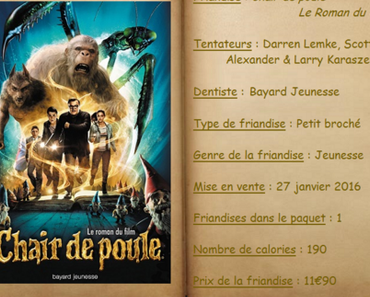 Chair de poule - Le roman du film - Darren Lemke, Scott Alexander & Larry Karaszewski