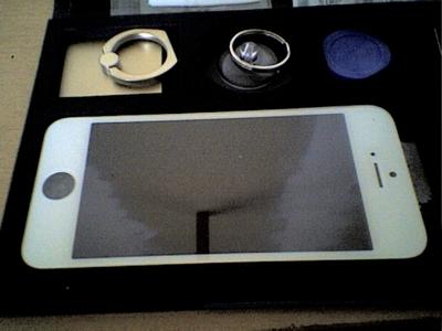Kit de Réparation Ecran pour iPhone 5S