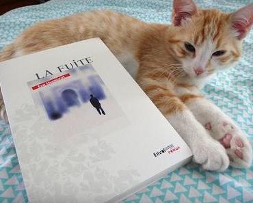 "La Fuite" d'Eve Chambrot