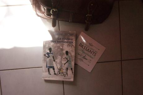 La couleur des sentiments de Kathryn Stockett – Un roman touchant sur la ségrégation mais pas que…