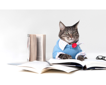 Bilan mensuel ♦ août 2016