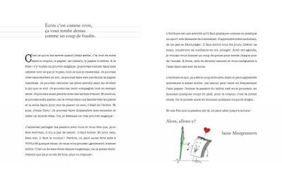 Carnet de l'apprenti écrivain de Susie Morgenstern et Theresa Bronn