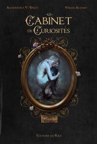 le-cabinet-de-curiosites-745003