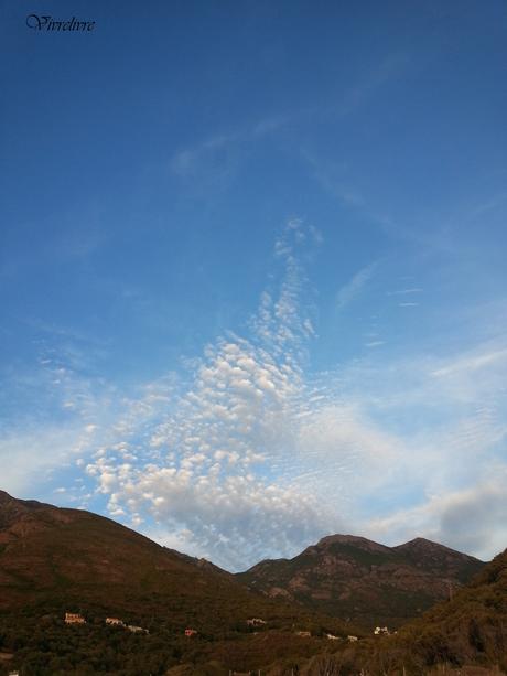 Récapitulatif de lectures de vacances - Août 2016