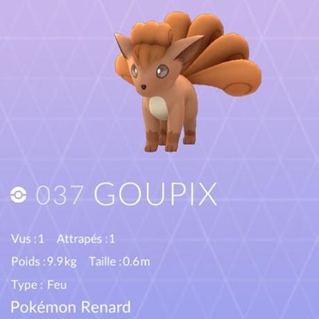 Pokémon Go - Goupix